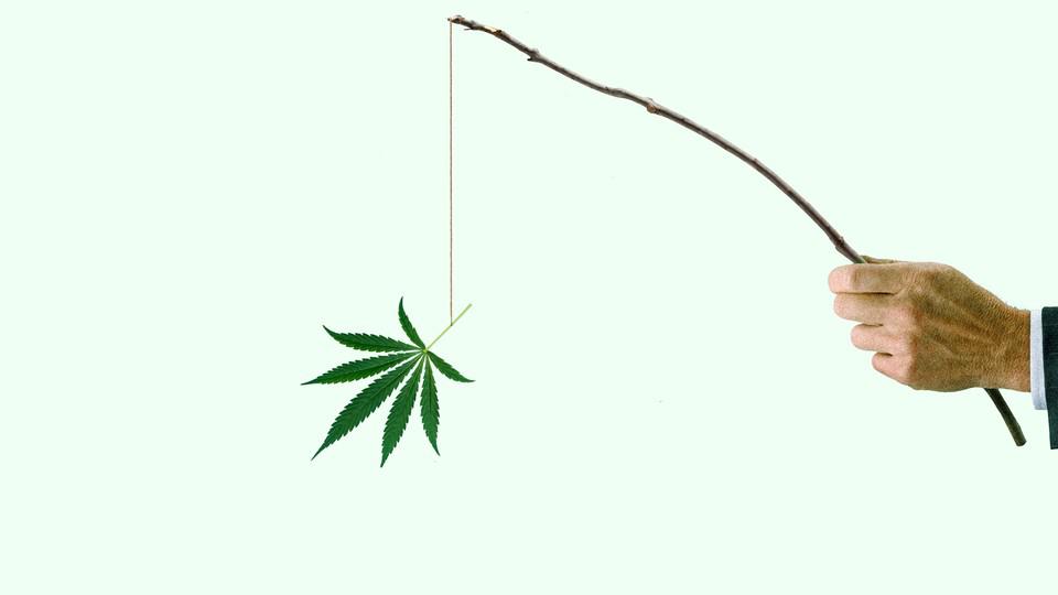 The Risk of Trump's Marijuana Order