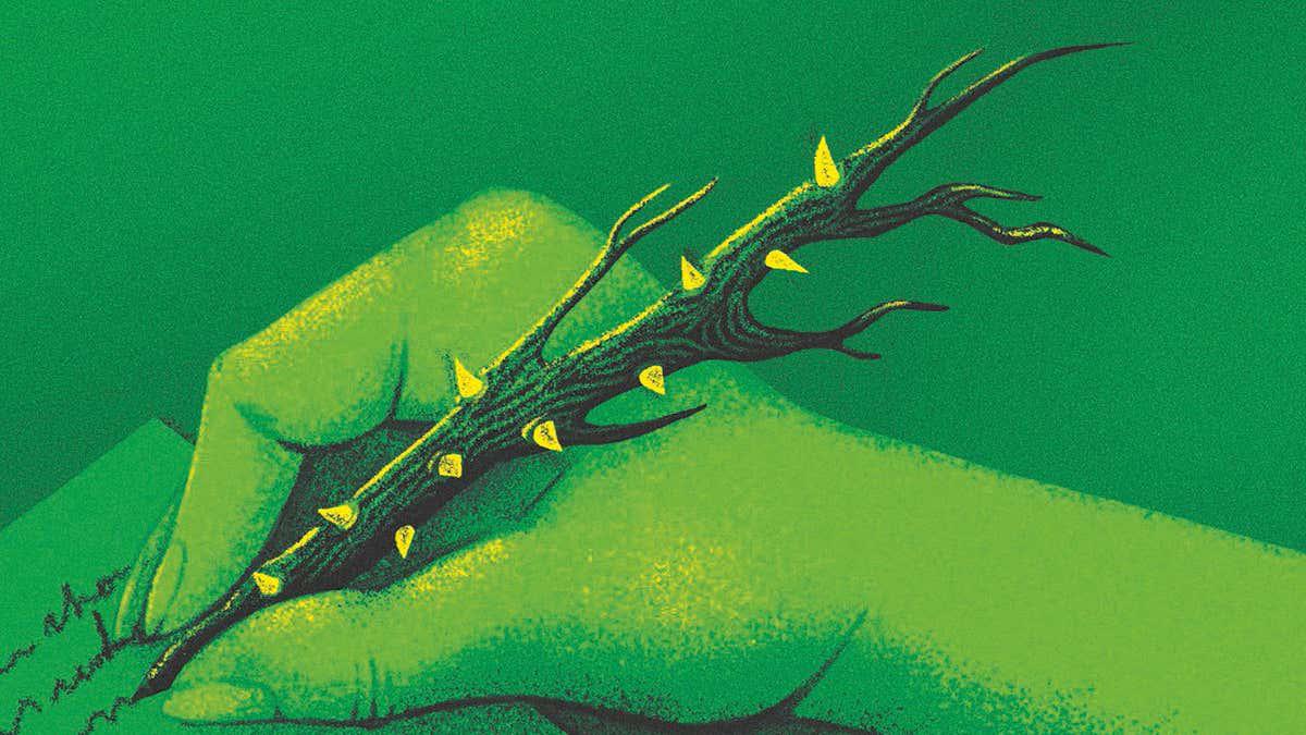 Why connecting with nature shouldn't mean disconnecting from science