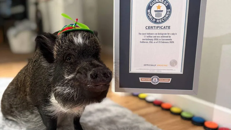 Pig who ‘talks’ using buttons gets Guinness World Record for his viral fame