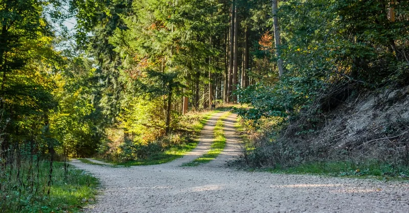 Can We Still Choose Our Path to the Hybrid Future?