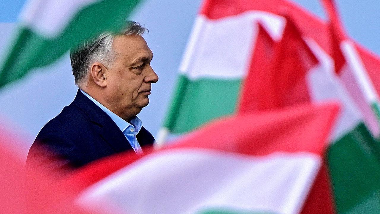 Lessons for the world from tiny Hungary