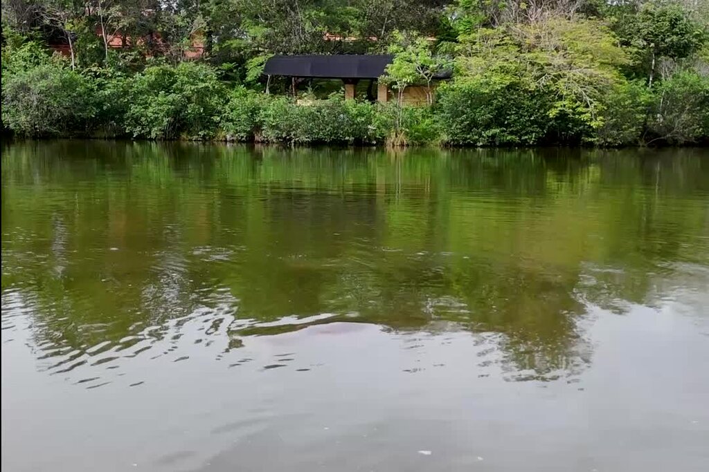 Why the National Zoo is feeding its baby elephant poop 