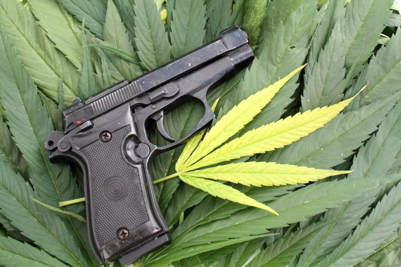 Opinion | Gun Rights for Potheads? Ask the Supreme Court