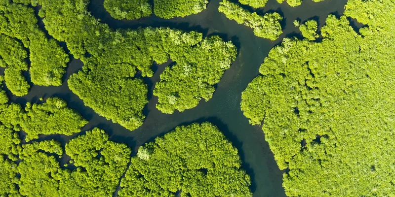 The greenhouse gases we’re not accounting for