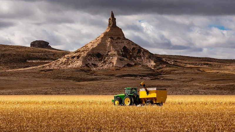 Agriculture is the answer to America’s junk food crisis