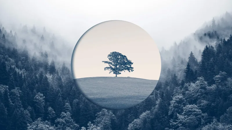 Research: How Old Companies Can Ignite New Growth