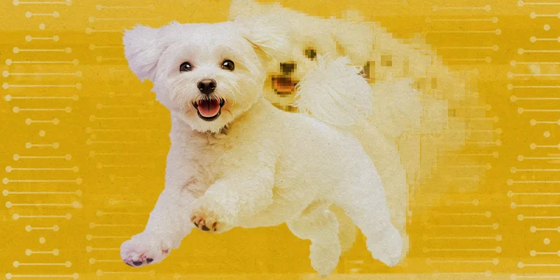 Cloning isn’t just for celebrity pets like Tom Brady’s dog