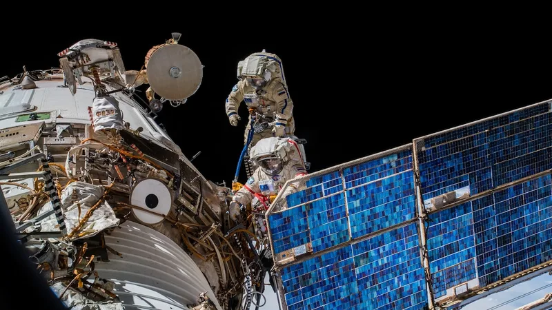 What can we learn from watching 100,000 animals—from space?