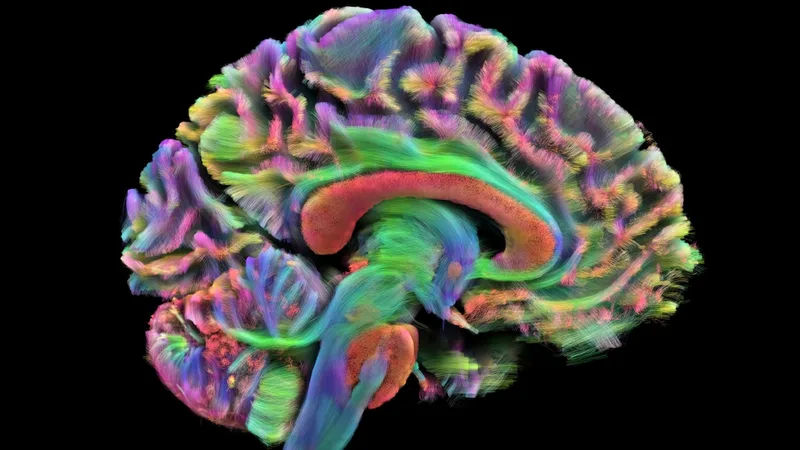 Scientists identify 4 turning points for your brain as you age