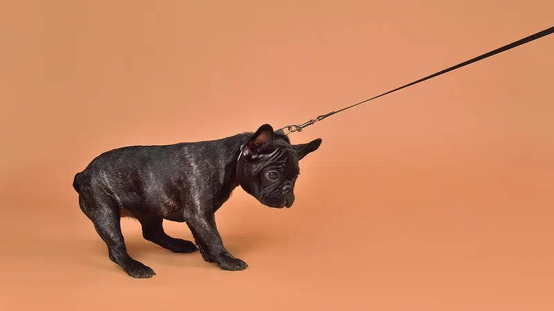 Most Employees Don&rsquo;t Trust Their Leaders. Here&rsquo;s What to Do About It.