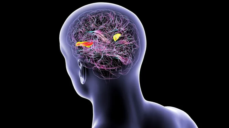 Learning a second language can protect your brain. Here’s how.
