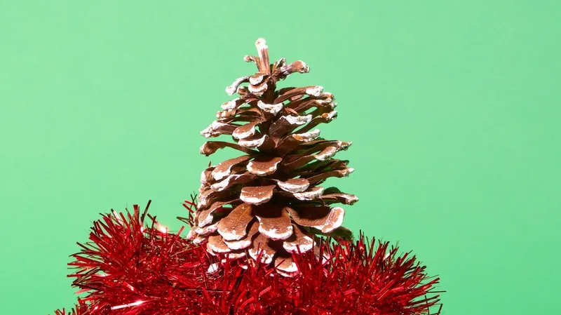 Here's how plastics experts decorate for the holidays