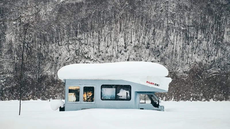 Hokkaido springs to life in winter—see it now