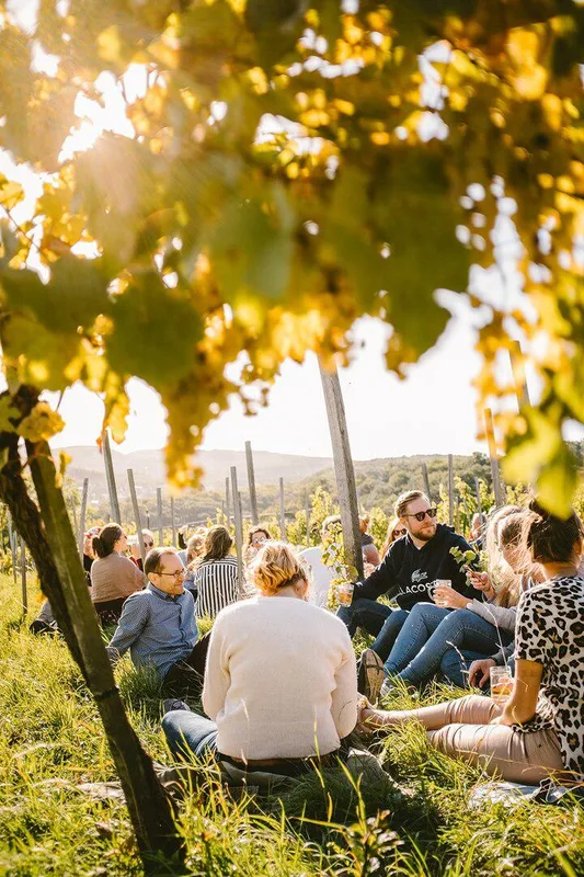 Travelers Discover the Cool Side of Old-School Vienna
