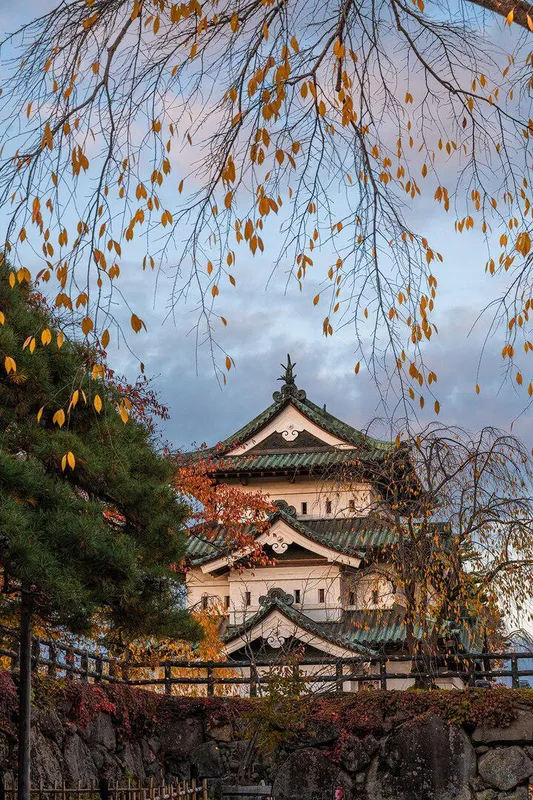 Why this Japanese prefecture is obsessed with apples
