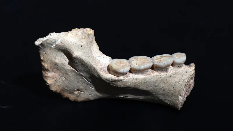 This ancient human may be root of Homo sapiens’ family tree