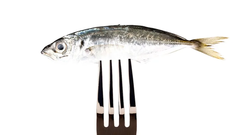 A marine scientist explains why she eats seafood—even octopus