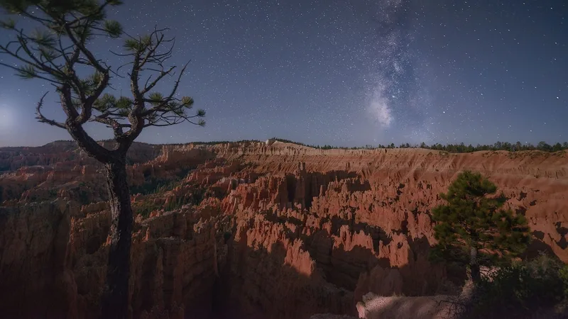 The best night-sky apps, according to the experts
