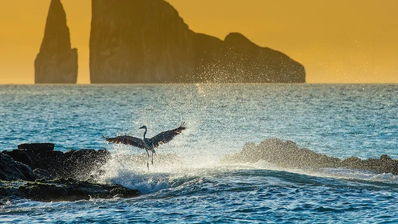 Meet the Galapagueños who are trying to save paradise