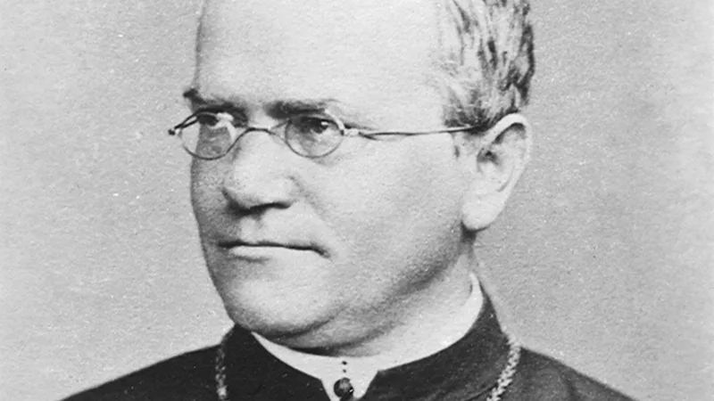 How Gregor Mendel’s pea plant experiments created modern genetics