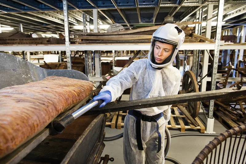 How extremophile molds are destroying museum artifacts