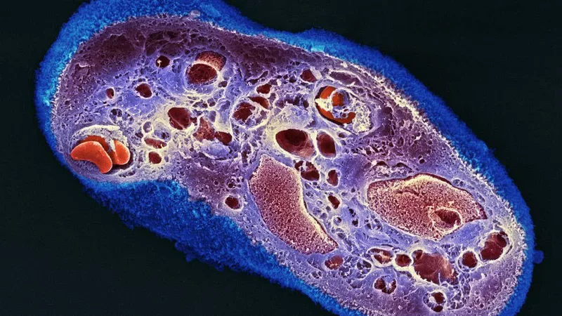 Strips of dried placenta help wounds heal with less scarring
