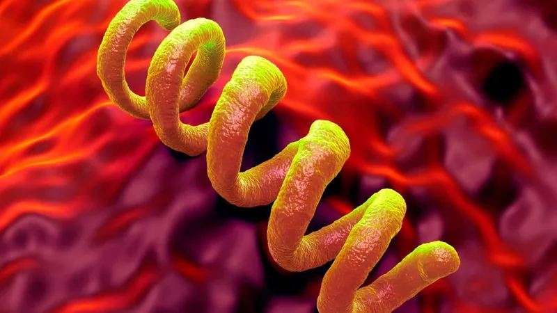 Ancient bacterium discovery rewrites the origins of syphilis