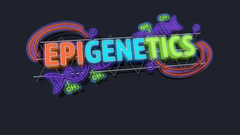 The hidden power of epigenetics: Best ideas of the century