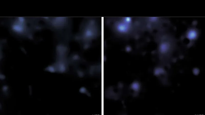 The best map of dark matter has revealed never-before-seen structures