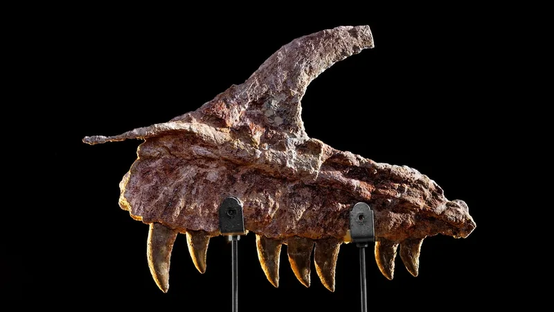 Who should really be allowed to dig for dinosaurs?