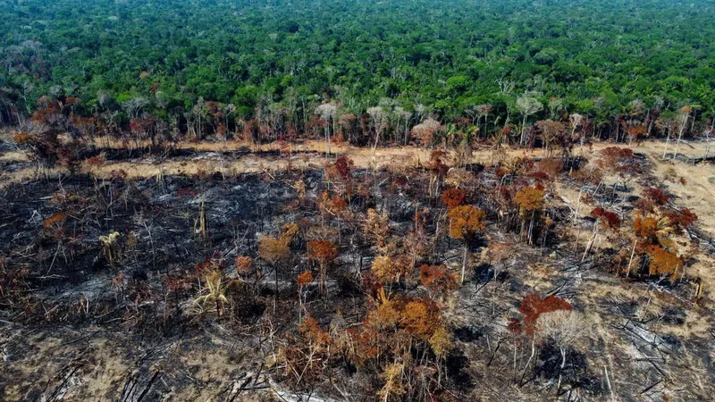 Amazon is getting drier as deforestation shuts down atmospheric rivers
