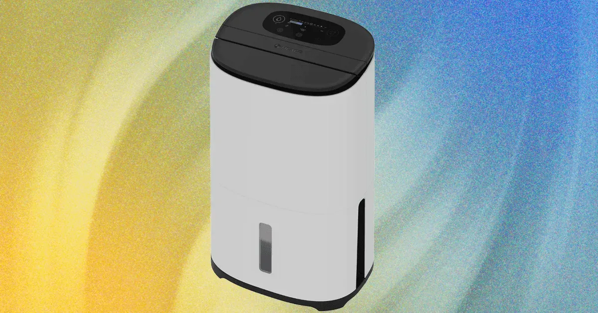 Why a Dehumidifier Is One of My Favorite Gadgets
