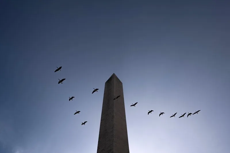 A civics upskilling for Americans amid 250th celebrations