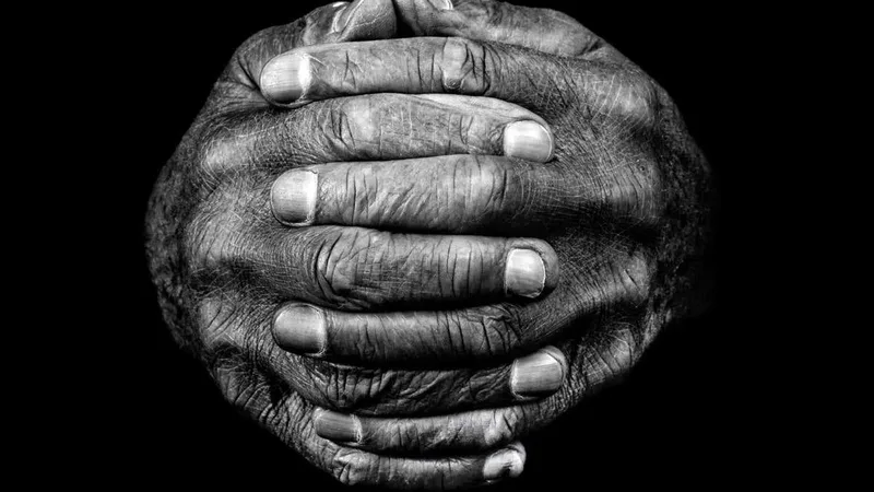 The untold story of our remarkable hands and how they made us human