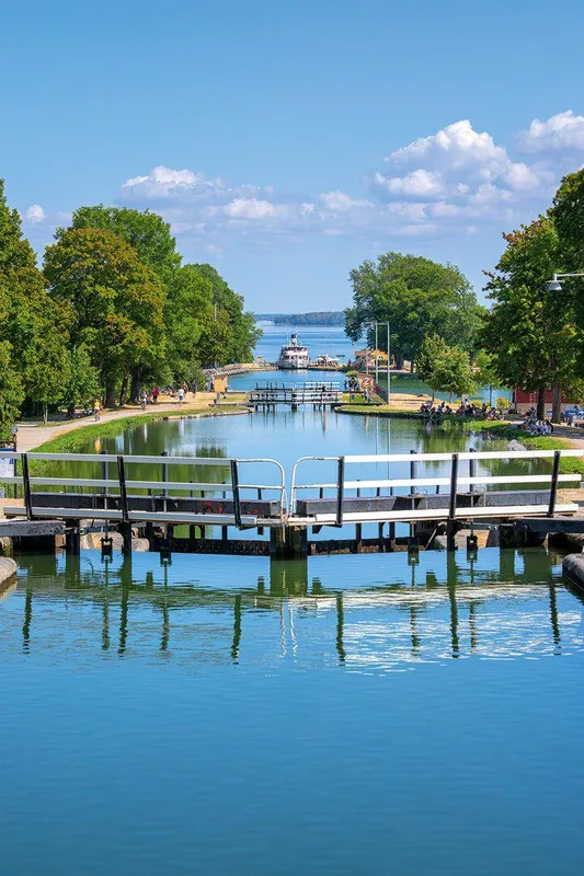 Spruce trees stumped (sigh) when it comes to predicting eclipses