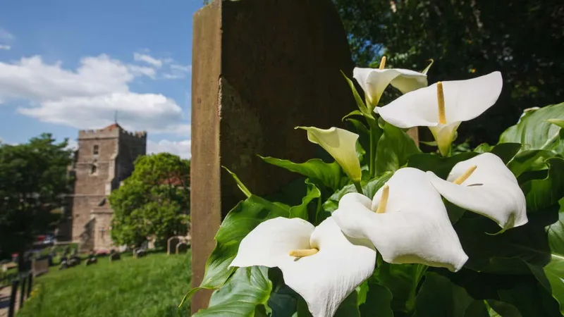 Why some people cannot move on from the death of a loved one