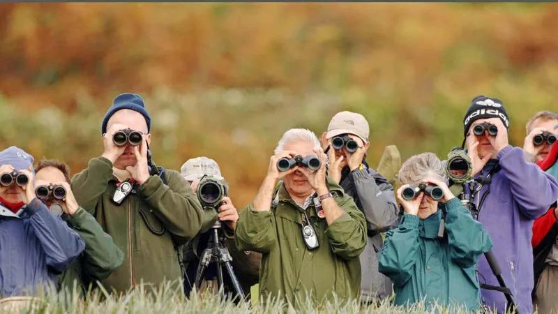 Birdwatching may reshape the brain and build its buffer against ageing