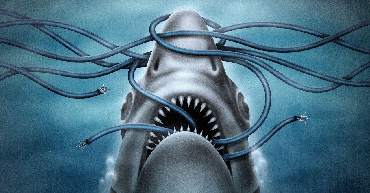 Say Goodbye to the Undersea Cable That Made the Global Internet Possible