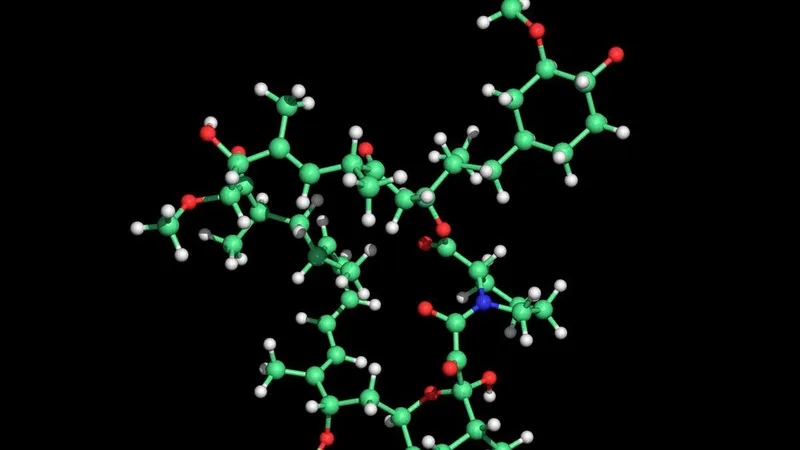 Rapamycin can add years to your life, or none at all – it’s a lottery