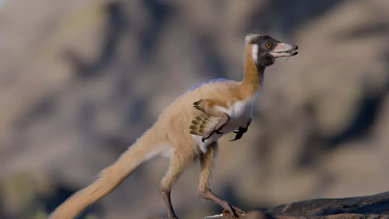 Tiny predatory dinosaur weighed less than a chicken