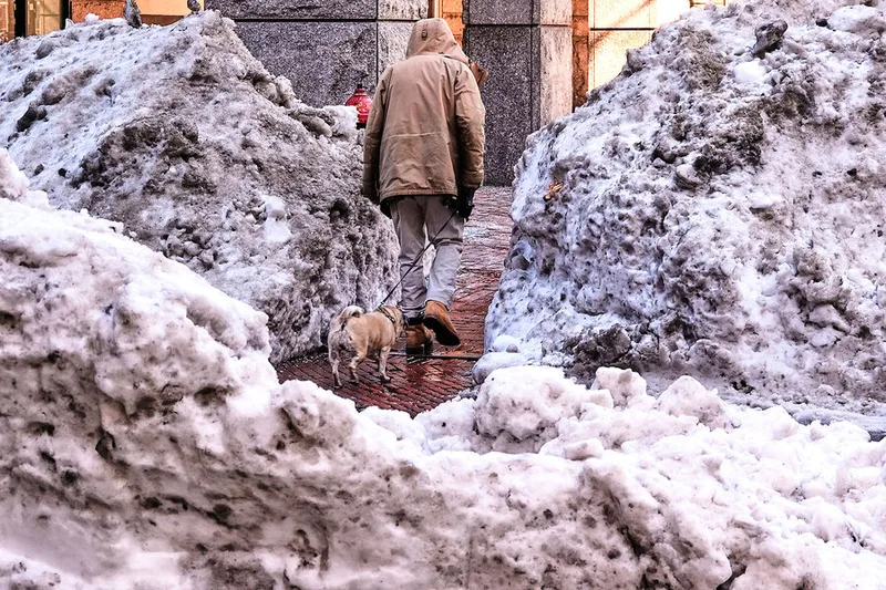 Where does Boston put all its snow? I hiked 7 miles through the city to find out.