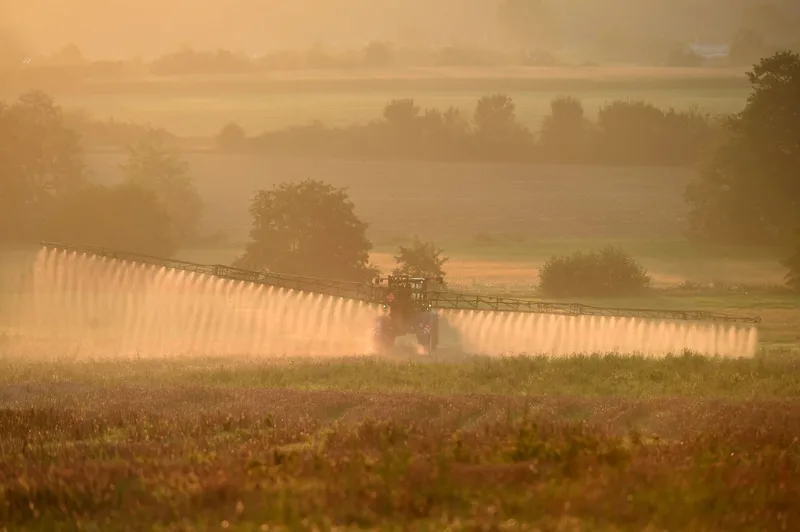 Glyphosate is driving a rift in MAHA. Here’s what the science says about its effects on health