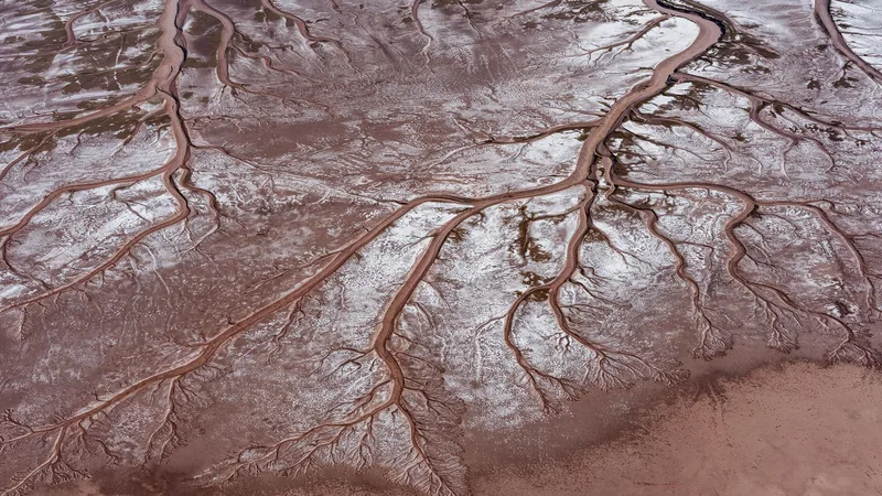 How To Save the Colorado River