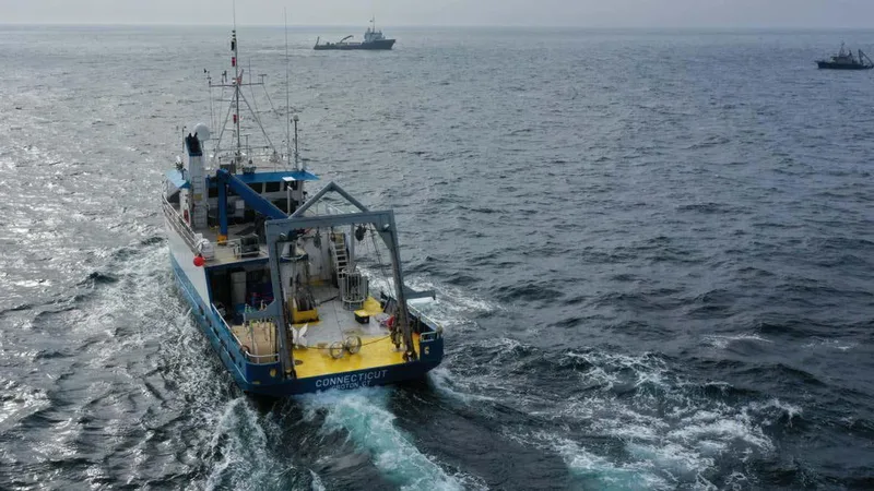 Ocean geoengineering trial finds no evidence of harm to marine life
