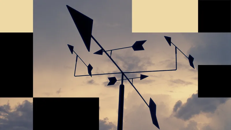 Have CEOs Lost the Plot?