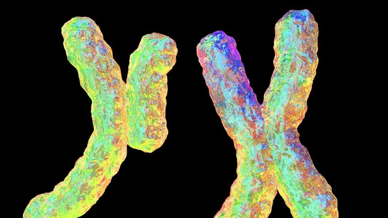 Selfish Y chromosome may explain why some families mostly have sons