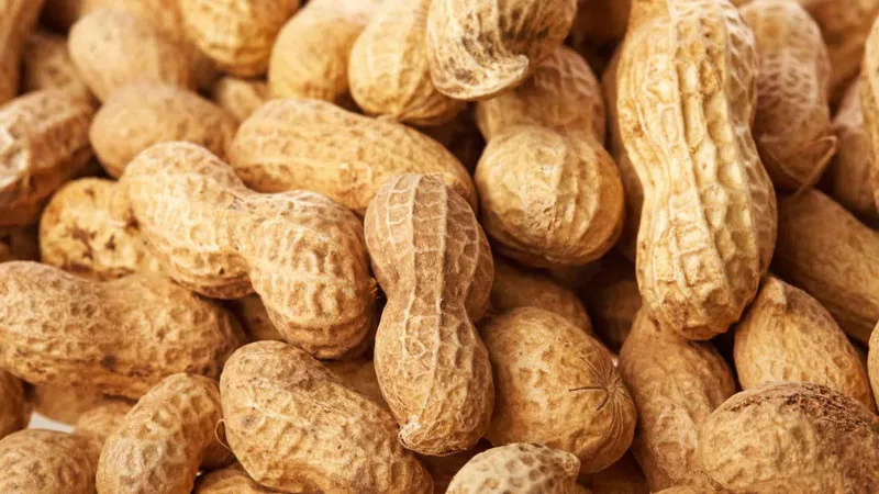 Your microbiome may determine your risk of a severe allergic reaction