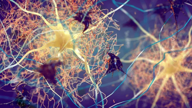 Alzheimer’s may start with inflammation in the skin, lungs or gut