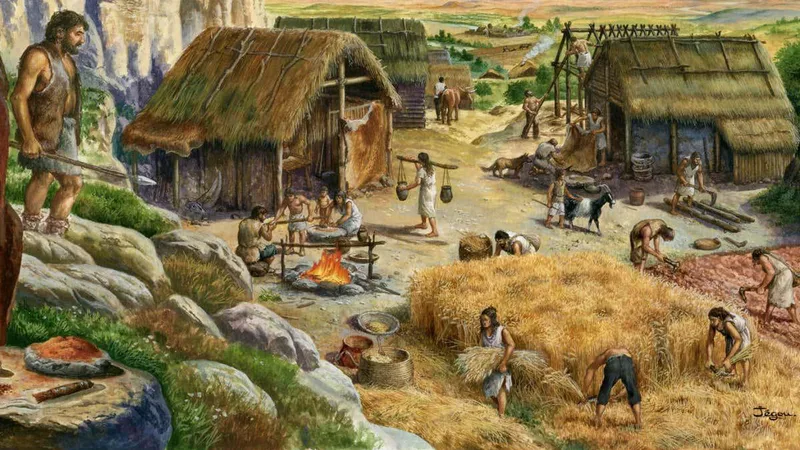 Human populations evolved in similar ways after we began farming