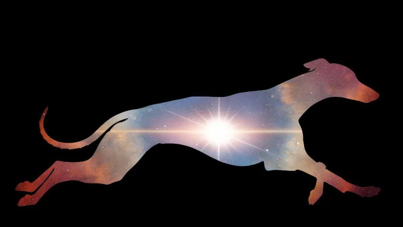 Mystery 'whippet' space explosion is the brightest of its kind